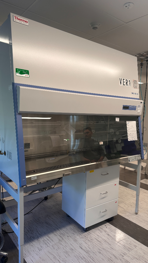 Image of Thermo Scientific 1300 Series A2 BSC